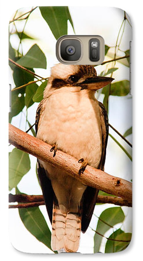 Bird Galaxy S7 Case featuring the photograph Kookaburra 2 by Carole Hinding