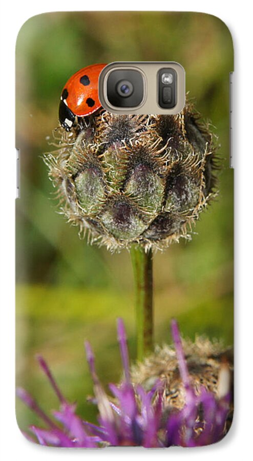 Ladybird Galaxy S7 Case featuring the digital art Ladybird by Ron Harpham