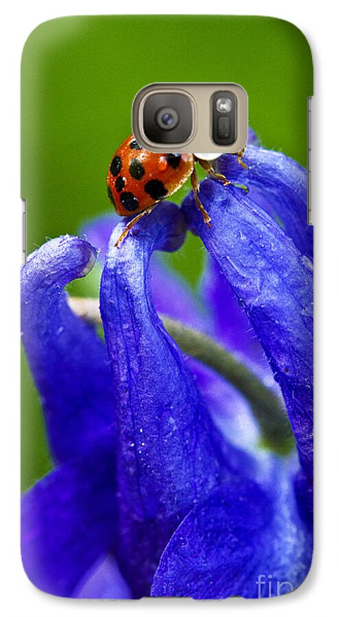 Insect Galaxy S7 Case featuring the photograph Ladybug by Carrie Cranwill