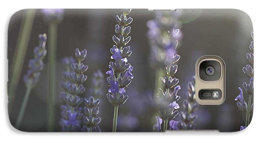 Lavender Galaxy S7 Case featuring the photograph Lavender Flare. by Clare Bambers