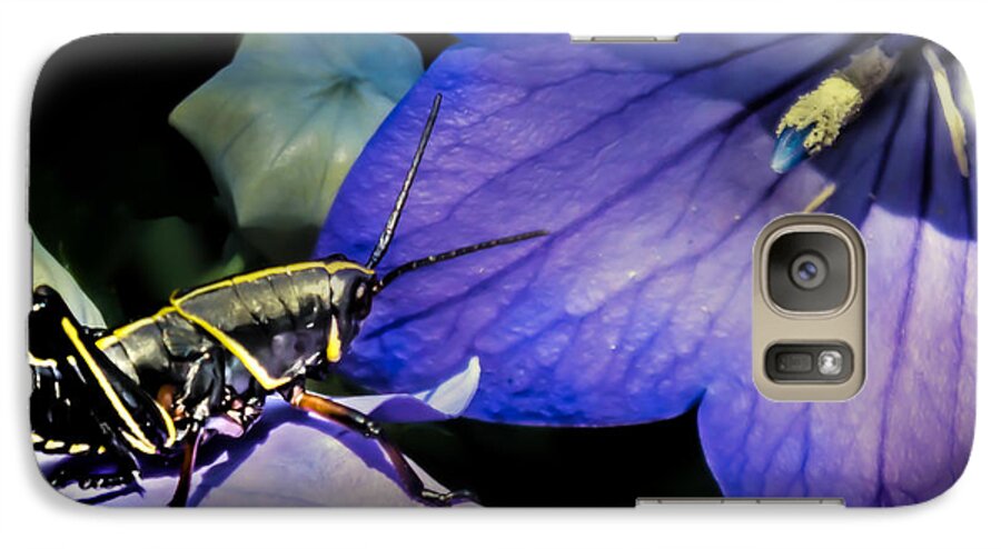 Grasshoppers Galaxy S7 Case featuring the photograph CONTEMPLATION of a PISTIL by Karen Wiles