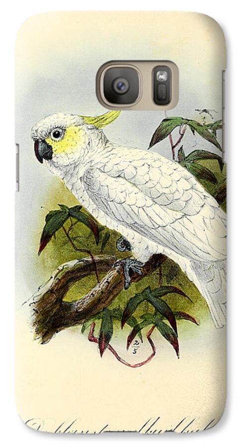 Lesser Cockatoo Galaxy S7 Case featuring the painting Lesser Cockatoo by Dreyer Wildlife Print Collections 
