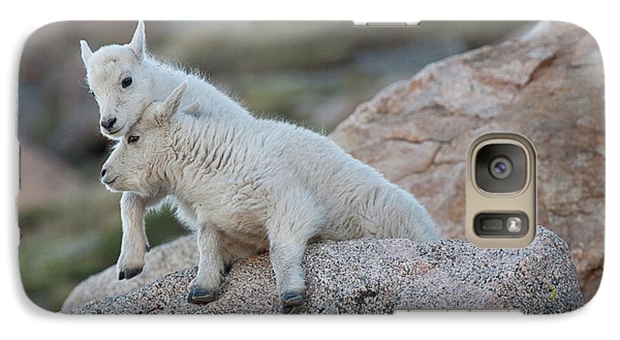 Mountain Goats Galaxy S7 Case featuring the photograph Life is a Struggle by Jim Garrison