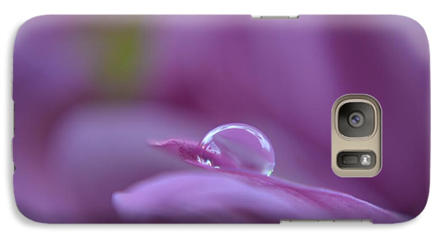 Michelle Meenawong Galaxy S7 Case featuring the photograph Lilac by Michelle Meenawong