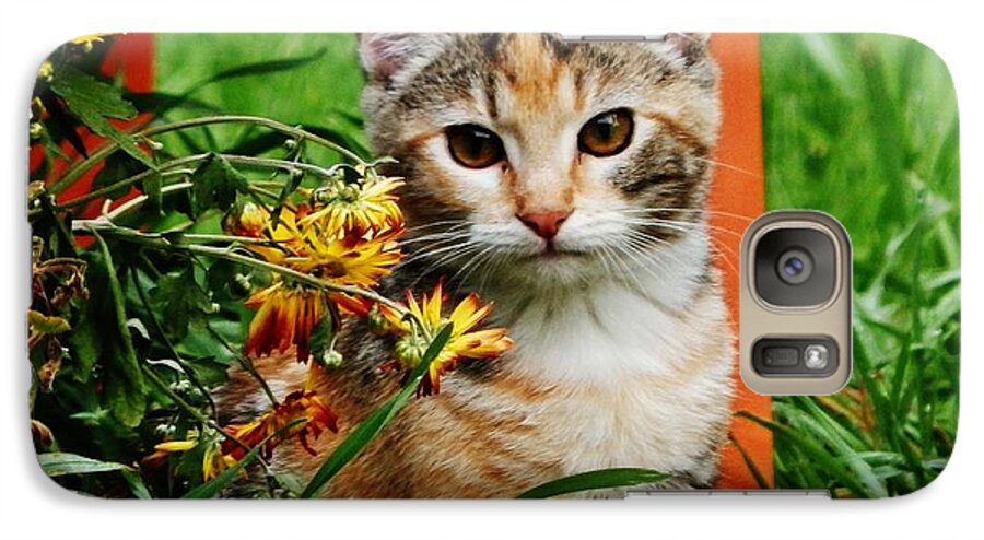 Cat Galaxy S7 Case featuring the photograph LILY Garden Cat by VLee Watson