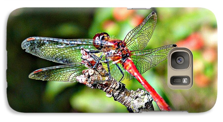 Dragonfly Galaxy S7 Case featuring the photograph Little Dragonfly by Morag Bates
