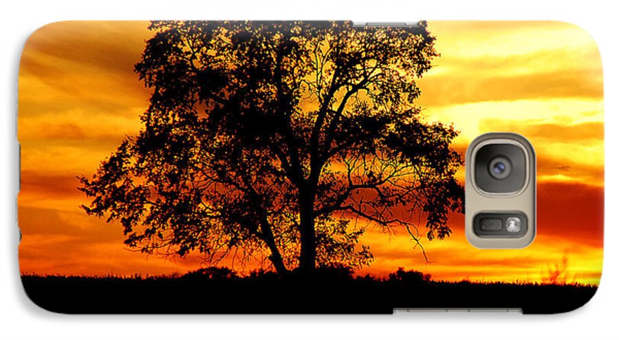 Tree Galaxy S7 Case featuring the photograph Lone Tree by Mary Carol Story