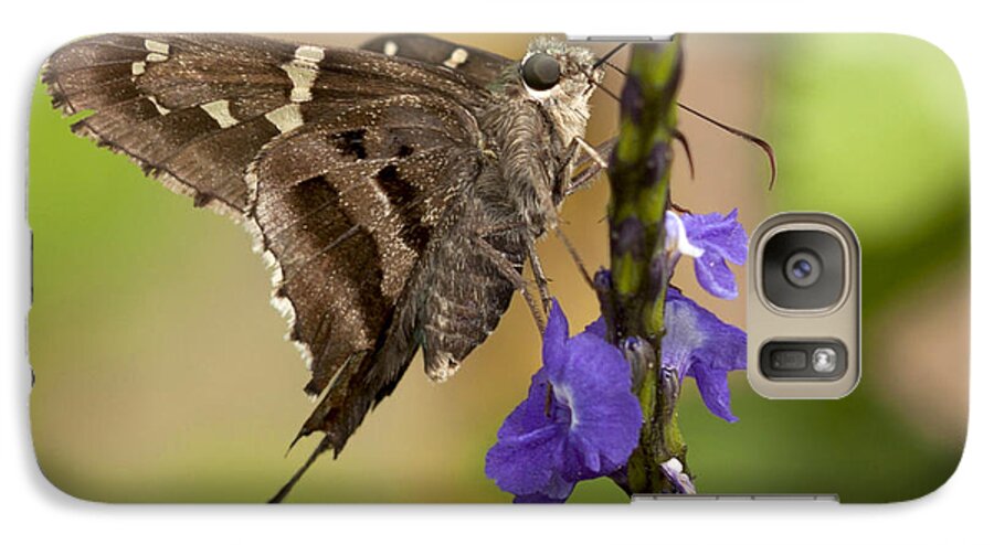Long-tailed Skipper Galaxy S7 Case featuring the photograph Long-tailed Skipper Photo by Meg Rousher