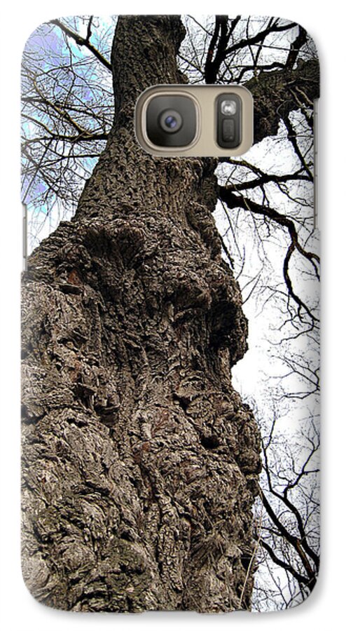 Trees Galaxy S7 Case featuring the photograph Look Up Look Way Up by Nina Silver