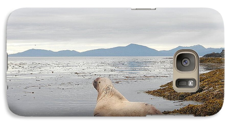 Animals Galaxy S7 Case featuring the photograph Looking Seaward by Laura Wong-Rose