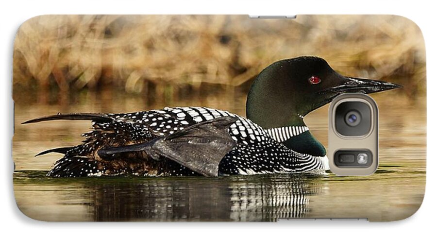 Loon Galaxy S7 Case featuring the photograph Loon 10 by Steven Clipperton