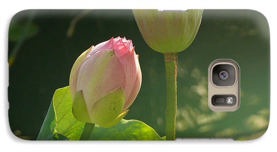 Lotus Galaxy S7 Case featuring the photograph Lotus Soft by Evelyn Tambour