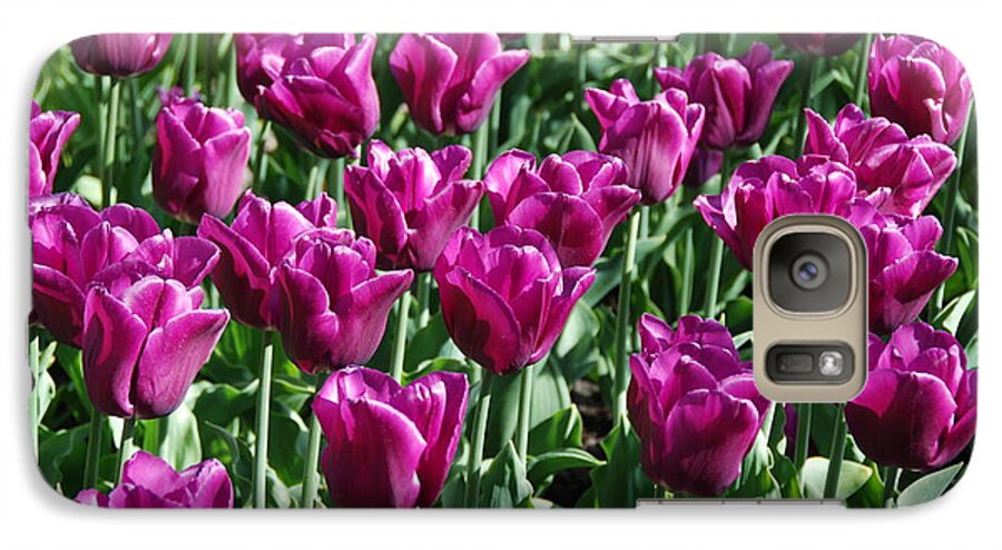 Magenta Galaxy S7 Case featuring the photograph Magenta Tulips by Allen Beatty