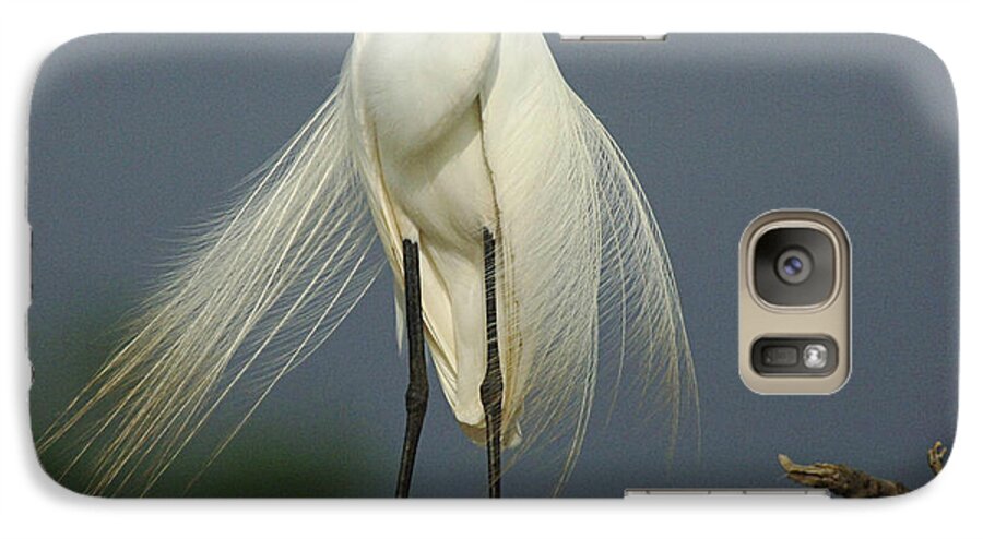Majestic Great Egret Galaxy S7 Case featuring the photograph Majestic Great Egret by Bob Christopher