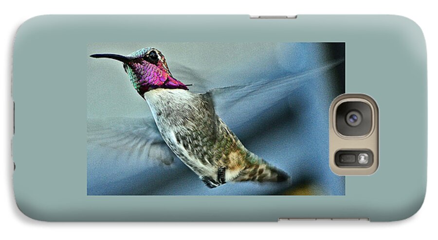 Hummingbird Galaxy S7 Case featuring the photograph Male Hummingbird Free As A Bird by Jay Milo