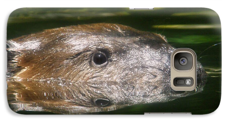 Beaver Canvas Prints Galaxy S7 Case featuring the photograph Mirror Mirror by Wendy McKennon