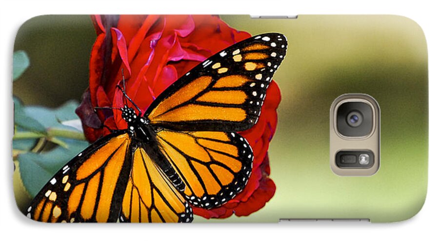 Monarch Butterfly Galaxy S7 Case featuring the photograph Monarch on Rose by Debbie Karnes