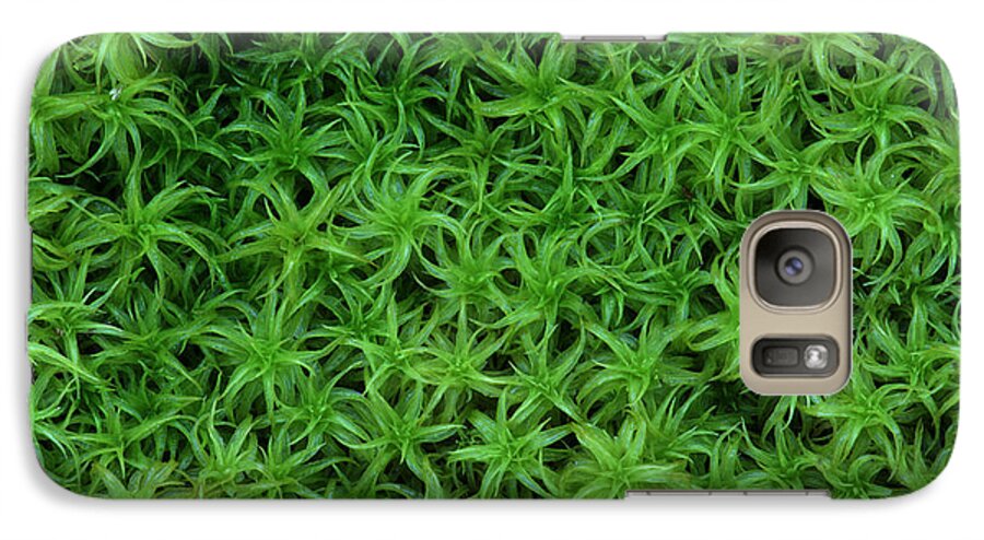 Atrichum Sp. Galaxy S7 Case featuring the photograph Moss by Daniel Reed