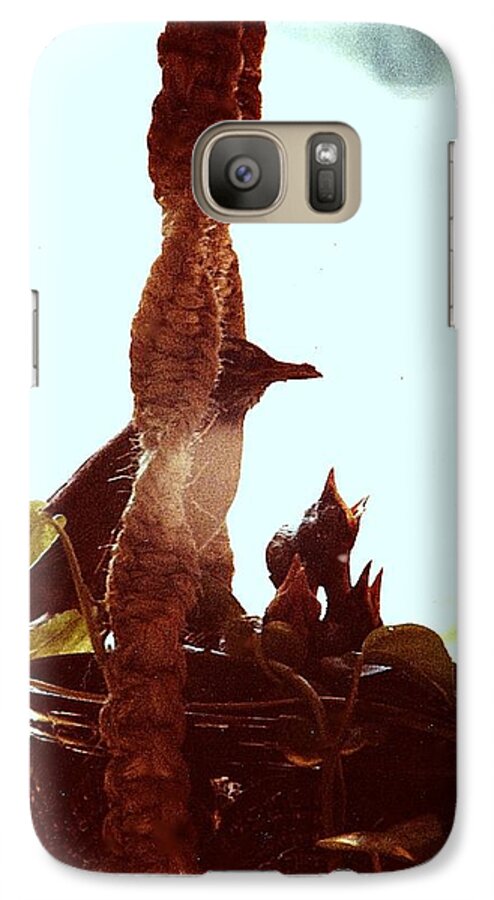 Anything Photography Galaxy S7 Case featuring the photograph Mother Robin tending to her young by James McAdams