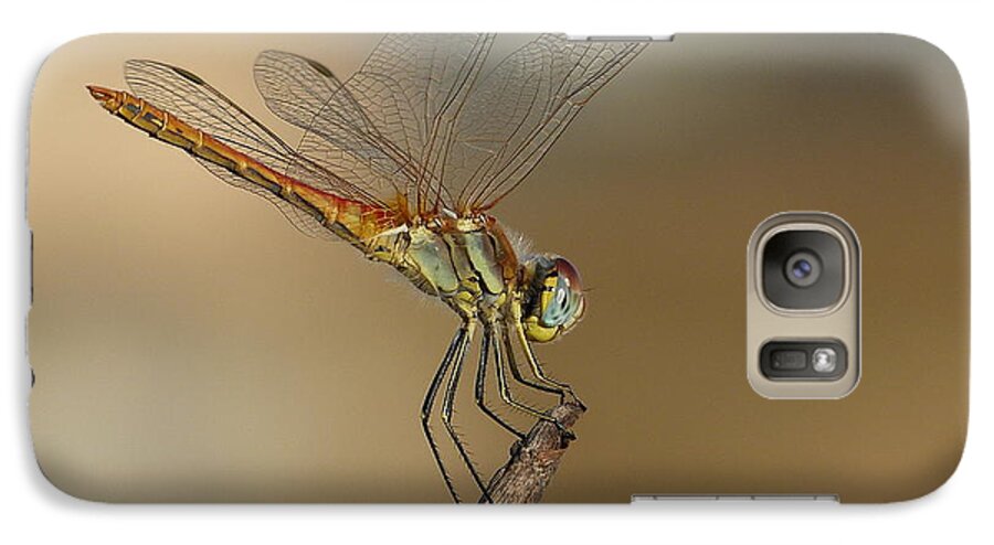 Dragonfly Print Galaxy S7 Case featuring the photograph My best Dragonfly by Janina Suuronen