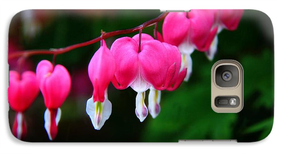 Flower Galaxy S7 Case featuring the photograph My Bleeding Heart by Davandra Cribbie