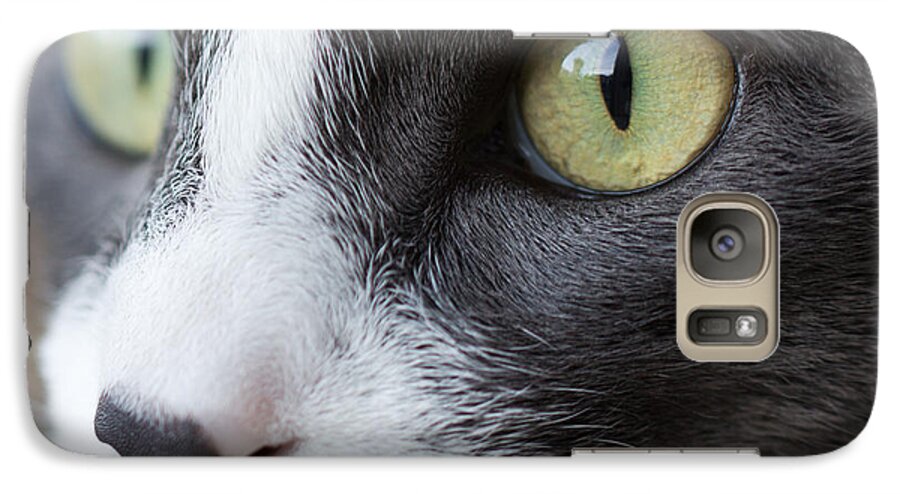  Galaxy S7 Case featuring the photograph My Sweet Boy by Heidi Smith