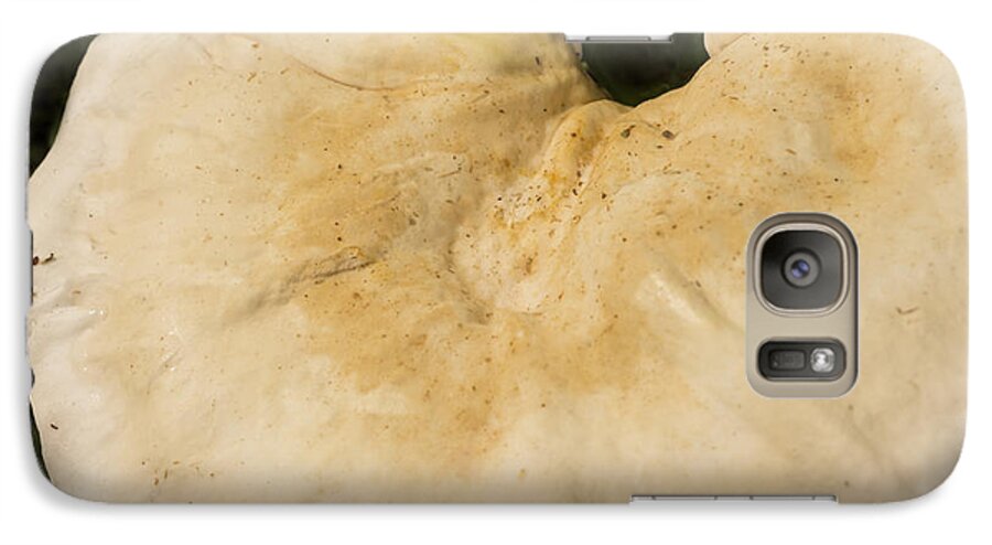 Mushroom Galaxy S7 Case featuring the photograph Nature's Crescent by Wanda Brandon