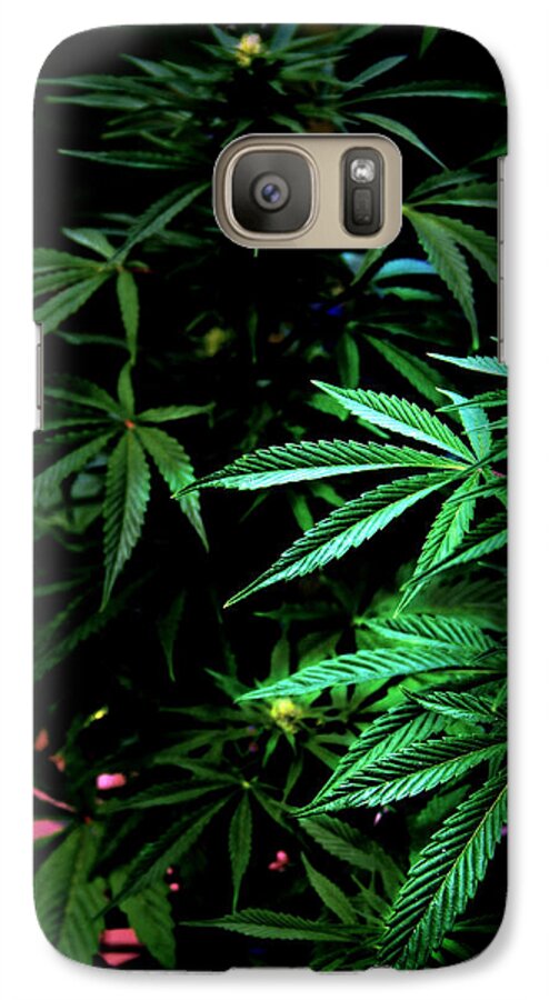 Mmj Galaxy S7 Case featuring the photograph Nature's Medicine by Jeanette C Landstrom