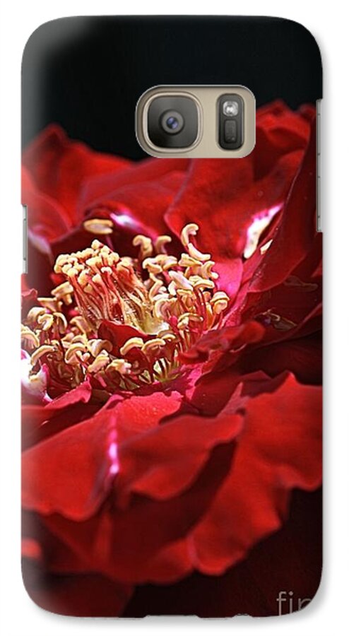 Rose Galaxy S7 Case featuring the photograph New Dream by Joy Watson