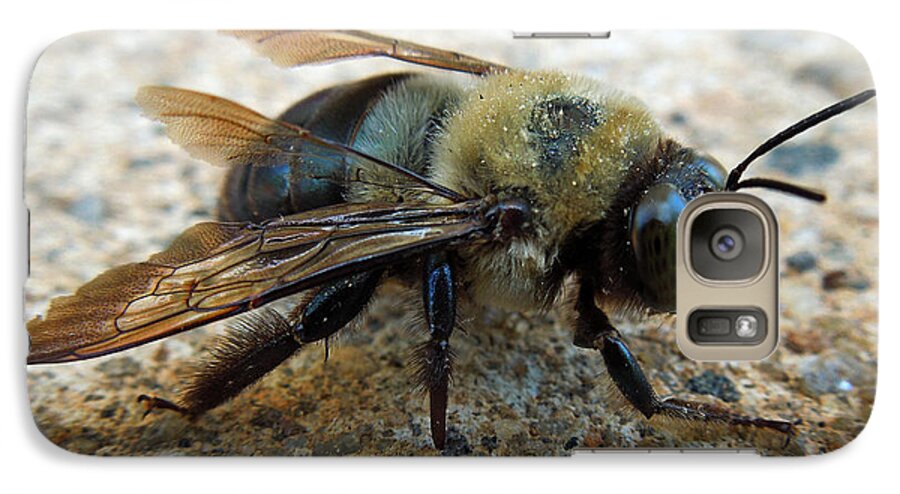 Macro Galaxy S7 Case featuring the photograph Old Carpenter Bee by Pete Trenholm