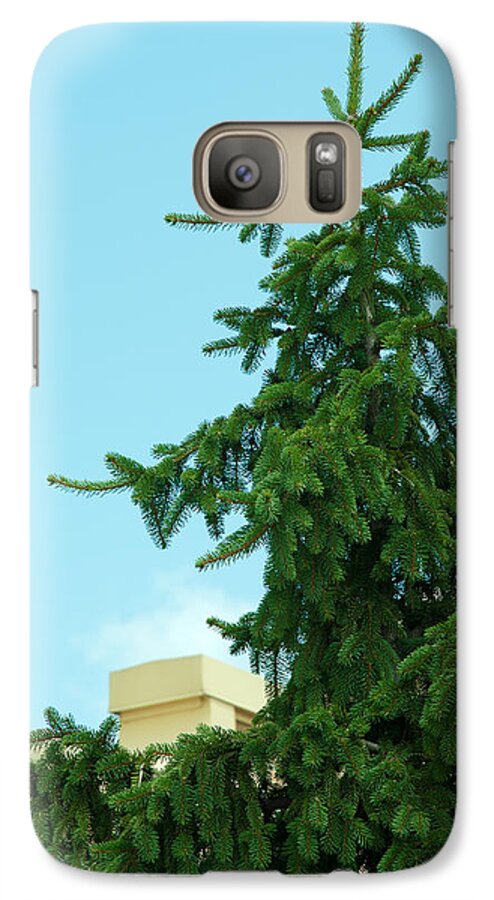 Evergreen Galaxy S7 Case featuring the photograph One Cool Evergreen by Lena Wilhite
