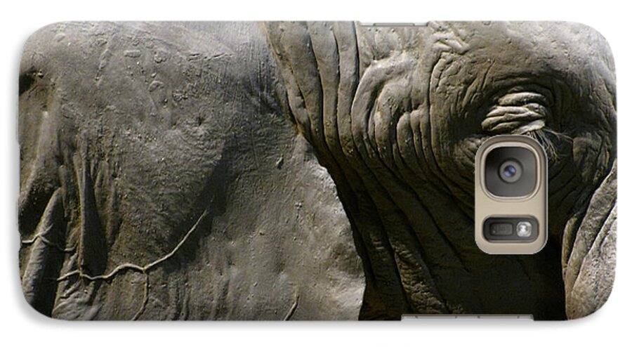 Elephant Galaxy S7 Case featuring the photograph Pachyderm by Jennifer Wheatley Wolf