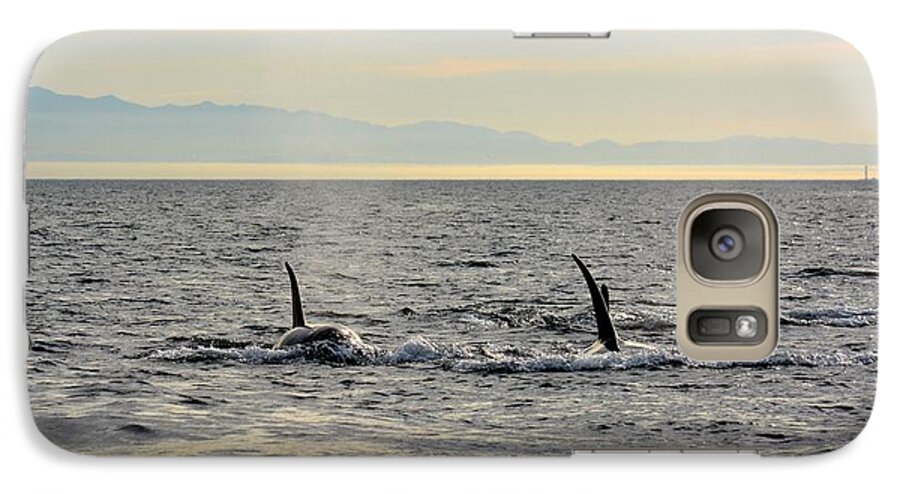 Orca Galaxy S7 Case featuring the photograph Pacific Northwest Orcas by Gayle Swigart