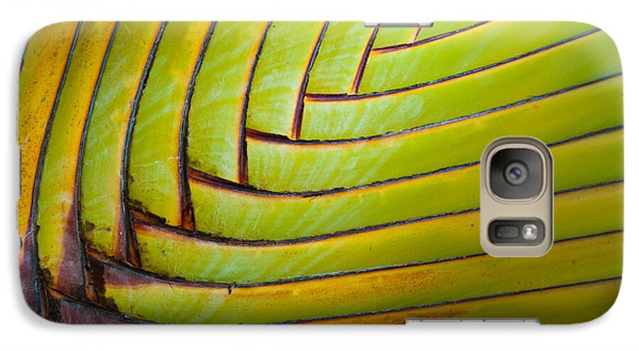 Green Galaxy S7 Case featuring the photograph Palm Tree Leafs by Sebastian Musial