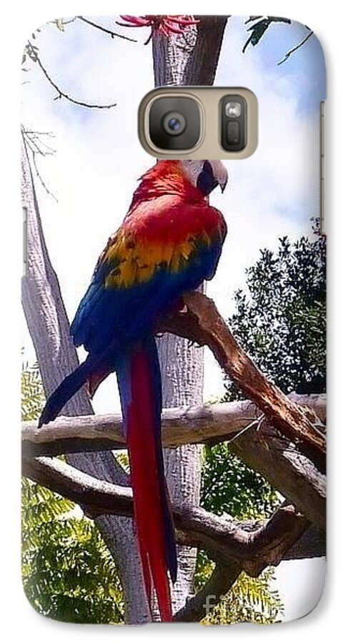 Birds Galaxy S7 Case featuring the photograph Parrot by Susan Garren