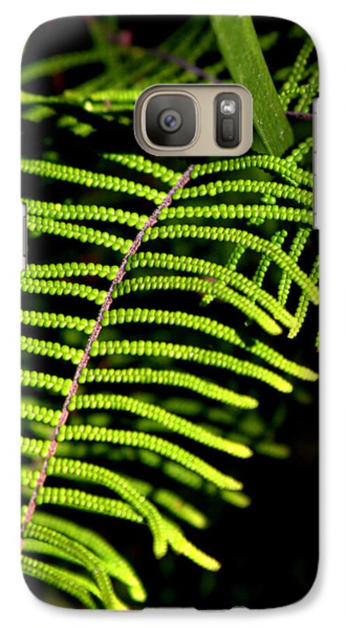 Fern Galaxy S7 Case featuring the photograph Pauched Coral Fern by Miroslava Jurcik