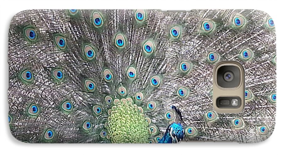 Peacock Galaxy S7 Case featuring the photograph Peacock Bow by Caryl J Bohn