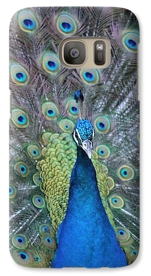 Peacock Galaxy S7 Case featuring the photograph Peacock by Elizabeth Budd