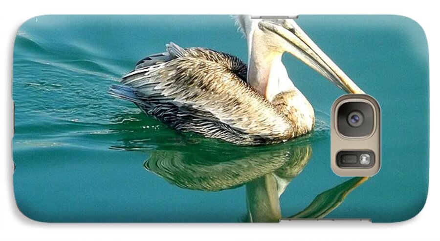 Pelican Galaxy S7 Case featuring the photograph Pelican in San Francisco Bay by Clare Bevan