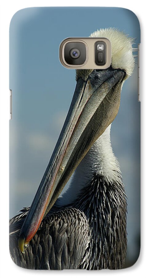 Brown Pelican Galaxy S7 Case featuring the photograph Pelican Profile by Ernest Echols