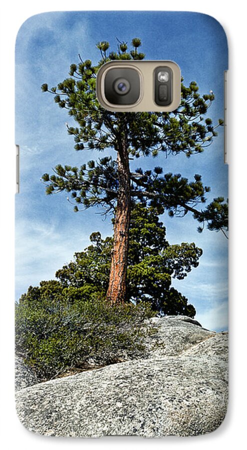 Beauty In Nature Galaxy S7 Case featuring the photograph Ponderosa Pine and Granite Boulders by Jeff Goulden
