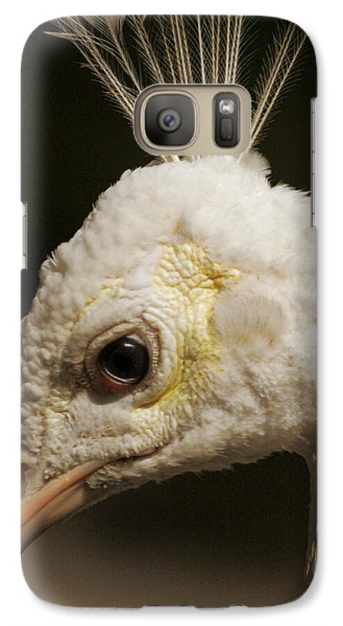 Nature Galaxy S7 Case featuring the photograph Portrait Of A White Peacock by Lena Wilhite