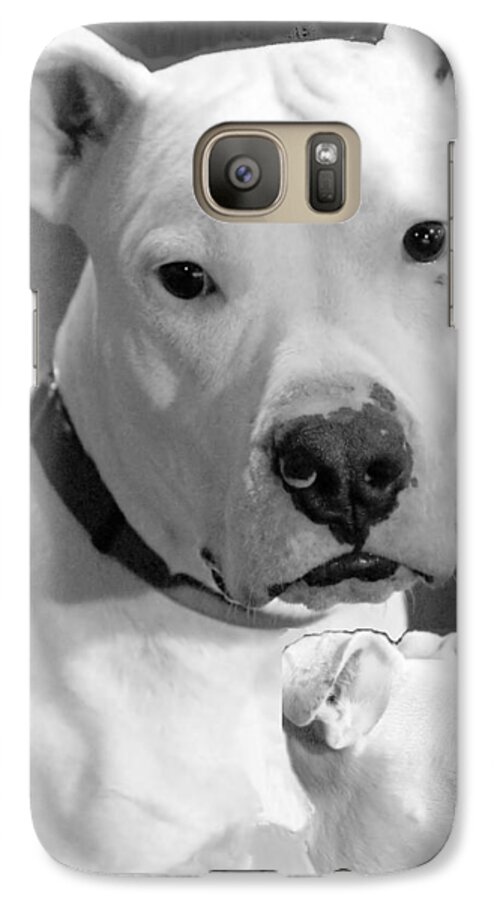 Animals Galaxy S7 Case featuring the photograph PrettyBoy by Robert McCubbin