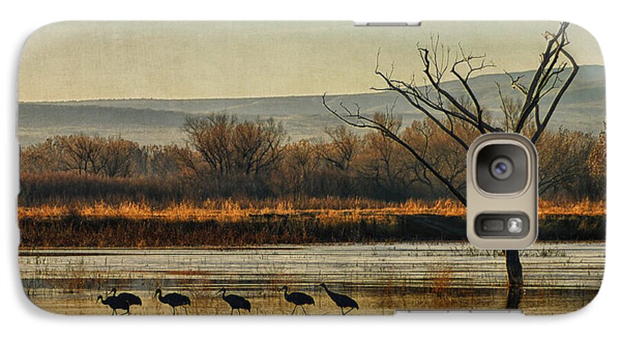 Sandhill Cranes Galaxy S7 Case featuring the photograph Promenade of the Cranes by Priscilla Burgers