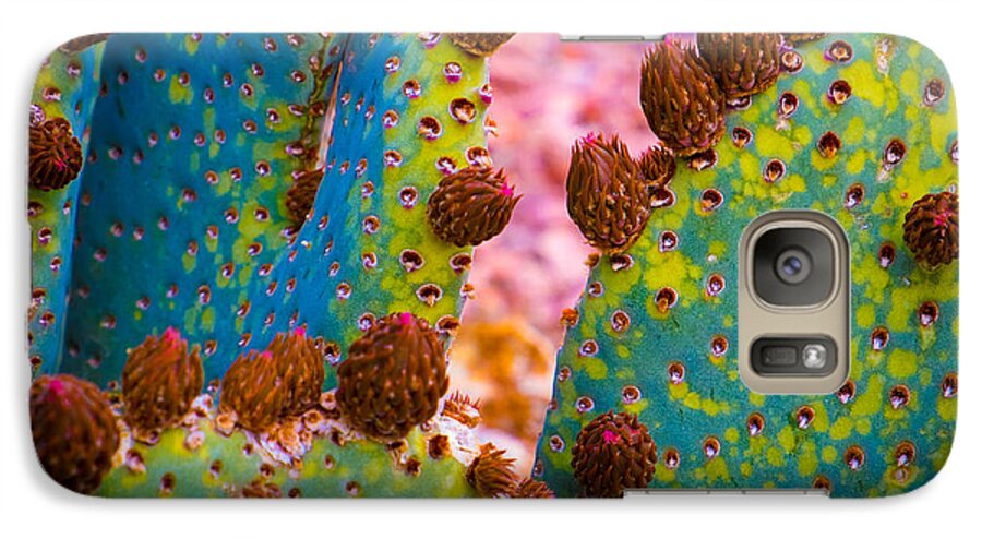 Psychedelic Galaxy S7 Case featuring the photograph Psychedelic Cactus by Glenn DiPaola