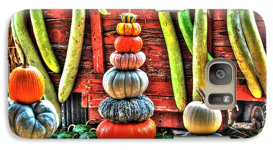 Pumpkins Galaxy S7 Case featuring the digital art Pumpkins and Gourds by Linda Segerson