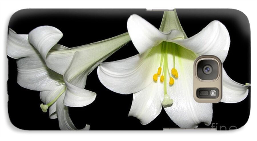 Easter Lilies Galaxy S7 Case featuring the photograph Pure White Easter Lilies by Rose Santuci-Sofranko