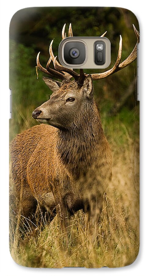 Red Galaxy S7 Case featuring the photograph Red Deer Stag by Paul Scoullar