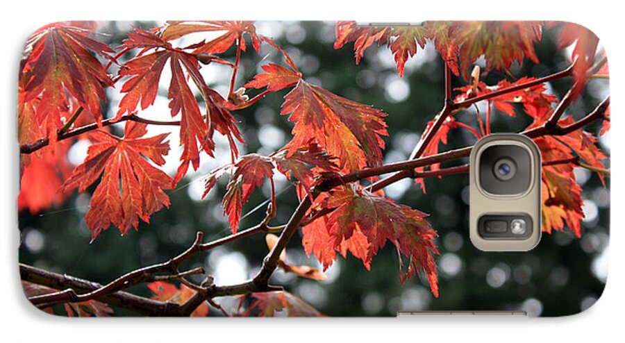 Flora Galaxy S7 Case featuring the photograph Red Maple Leaves by Gerry Bates