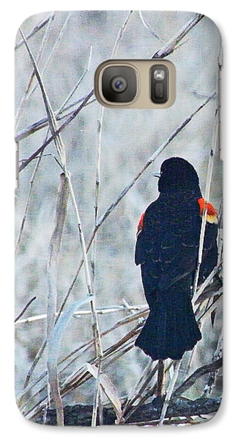 Blackbird Galaxy S7 Case featuring the digital art Red Wing Perched by Lizi Beard-Ward